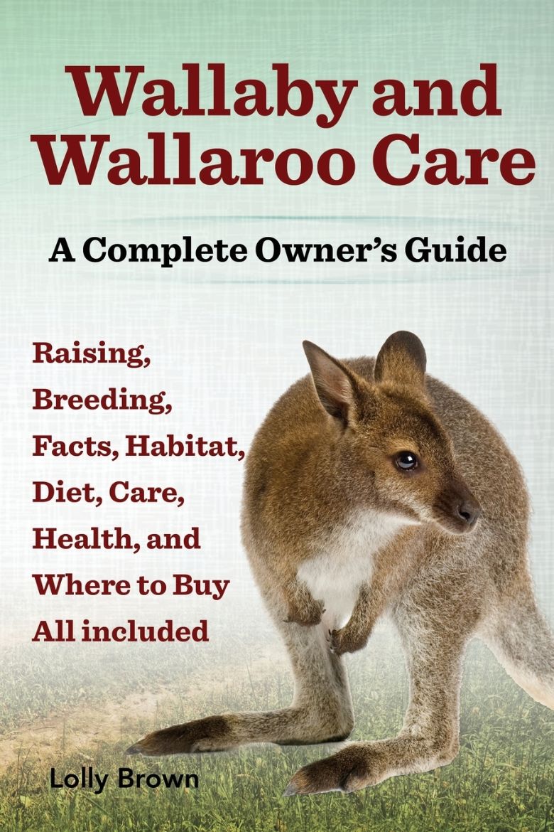 Immagine di Wallaby and Wallaroo Care. Raising, Breeding, Facts, Habitat, Diet, Care, Health, and Where to Buy All Included. a Complete Owner's Guide
