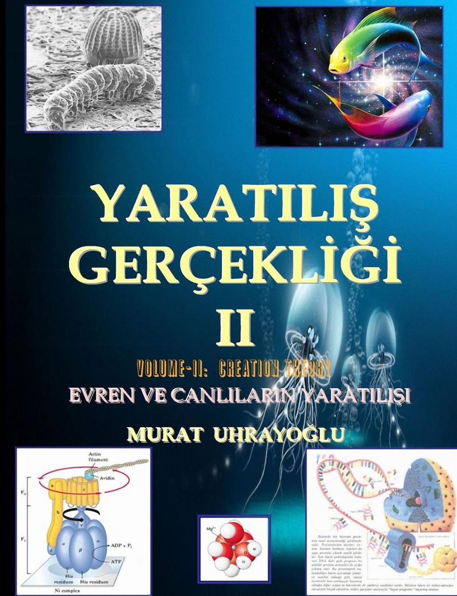 Immagine di Evrim Teorisi & Yaratilis Gercekligi-II