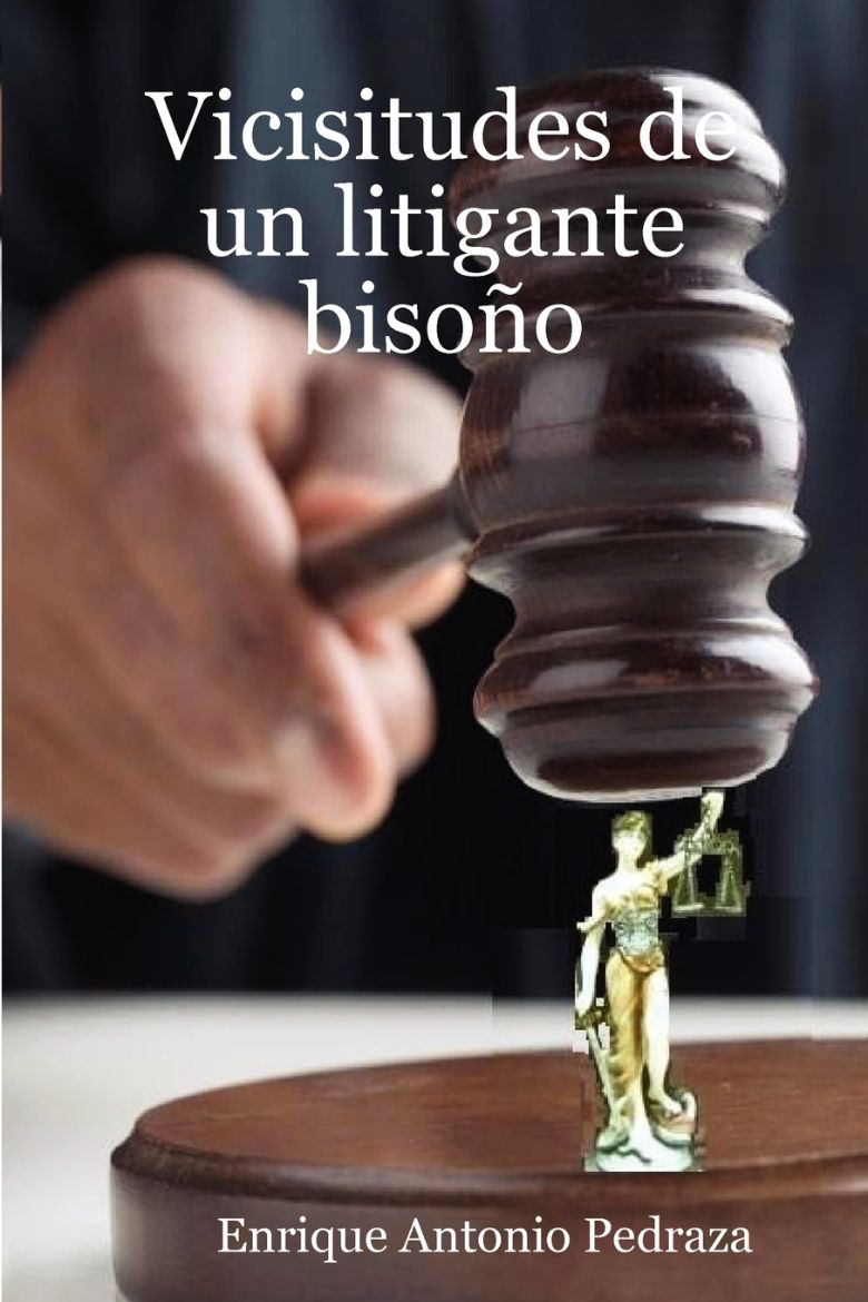 Immagine di Vicisitudes de Un Litigante Bisoo