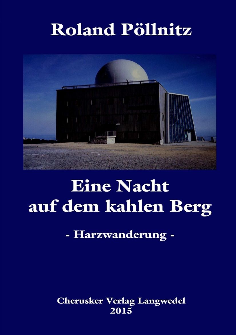 Immagine di Eine Nacht auf dem kahlen Berg