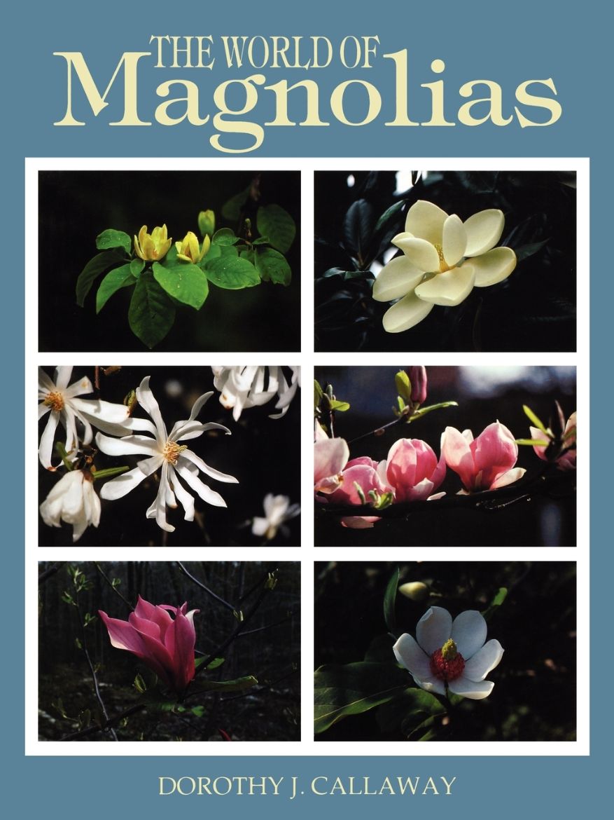 Immagine di The World of Magnolias